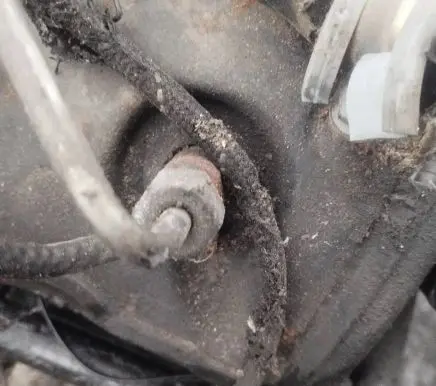Audi A6 S6 C5 4B Fuel injector