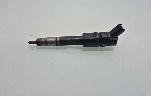 Renault Megane III Fuel injector 0445110328