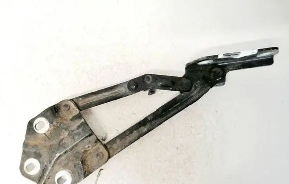 Volkswagen Touran I Tailgate/trunk/boot hinge