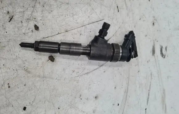 Citroen C3 Fuel injector 0445110075 9641496180