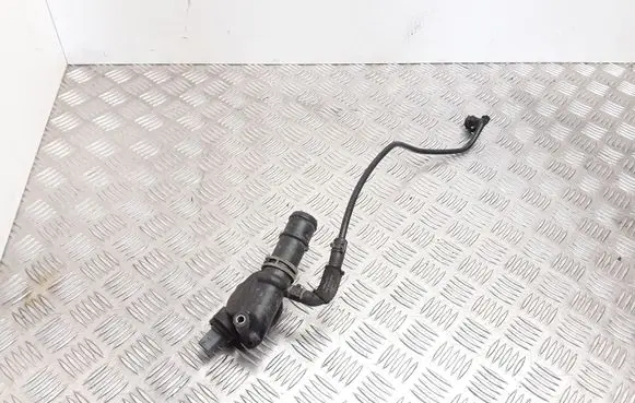 Thermostat/thermostat housing