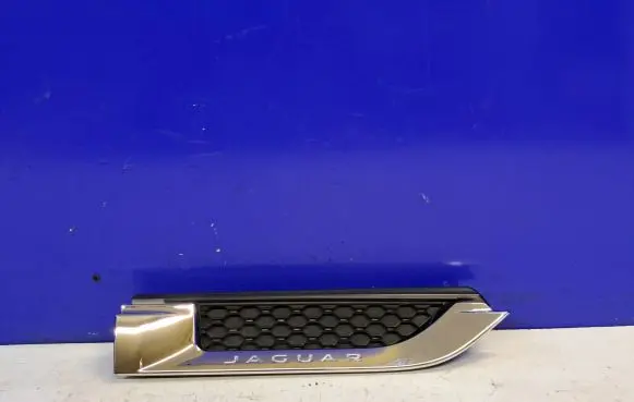 Jaguar F-Type Front grill EX53280B10AB