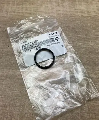 KIA Ceed Thermostat 256232B100