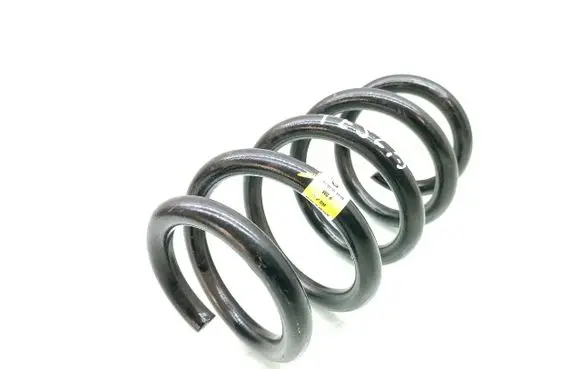 Rear coil spring