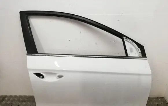 Hyundai Ioniq Front door