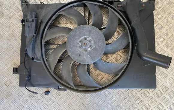 Mercedes-Benz A W169 Air conditioning (A/C) fan (condenser) A1695000593 A1695050355 1137328108
