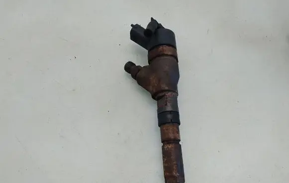 Peugeot 406 Fuel injector 0445110076