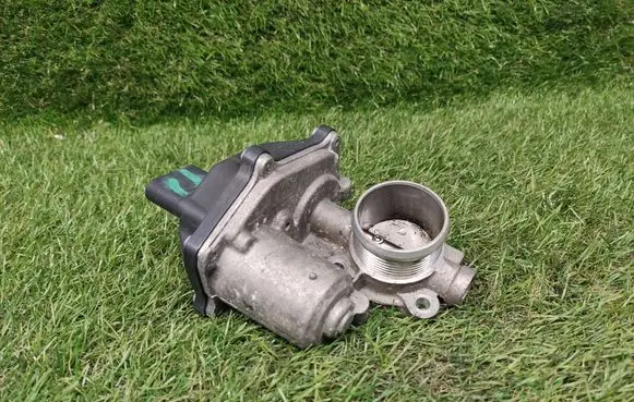 Throttle body valve