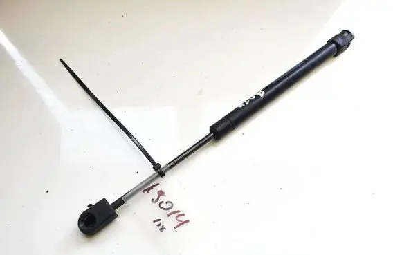 Dodge Magnum Tailgate/trunk strut/damper 24359