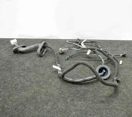Tesla Model 3 Rear door wiring loom 206796500A