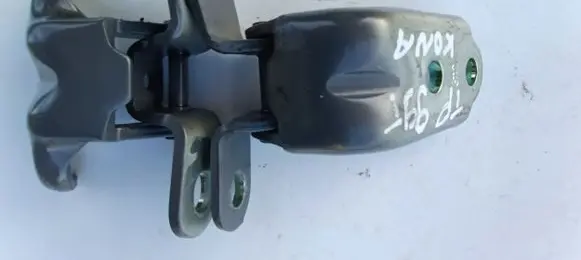Hyundai Kona I Loading door hinge set 