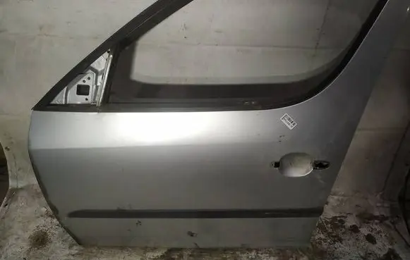 Skoda Roomster (5J) Front door pilkos