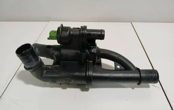 Thermostat/thermostat housing