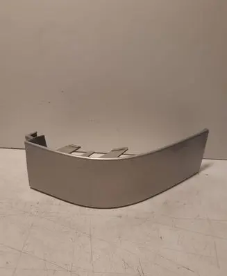Rear/tail light trim molding