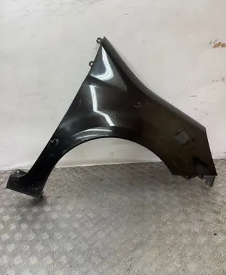 Renault Modus Fender