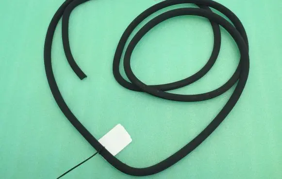 Nissan Qashqai Rubber seal front door (on door) 