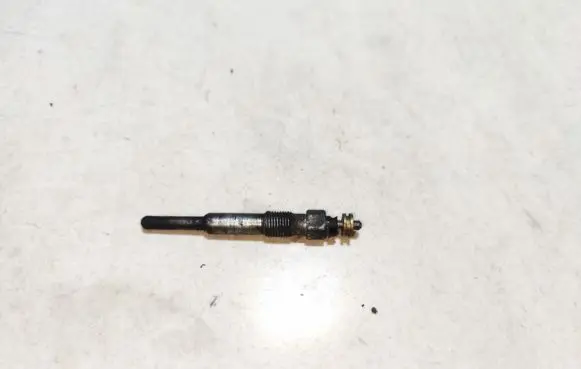 Renault Scenic I Glow plug 0250202025