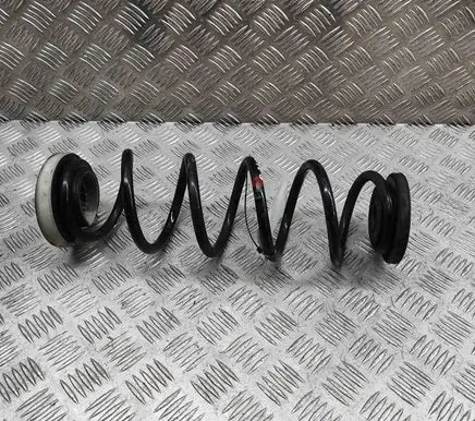 Nissan Qashqai J12 Rear coil spring 550206UA0B