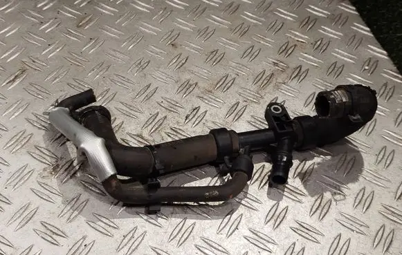 Renault Koleos II Engine coolant pipe/hose 110606001R 1321065