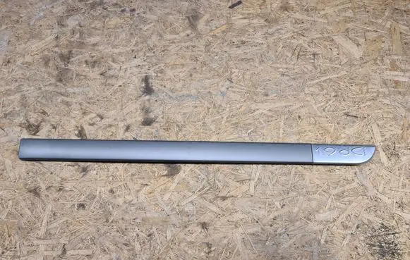 Renault Scenic II - Grand scenic II Front door trim (molding) 8200136734