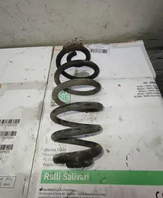 Audi A4 S4 B6 8E 8H Rear coil spring