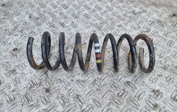 Ford Focus Rear coil spring