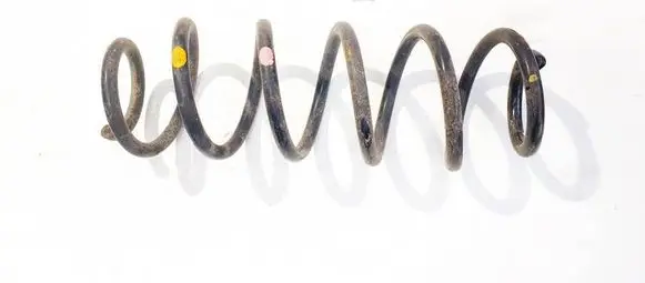 Rear coil spring