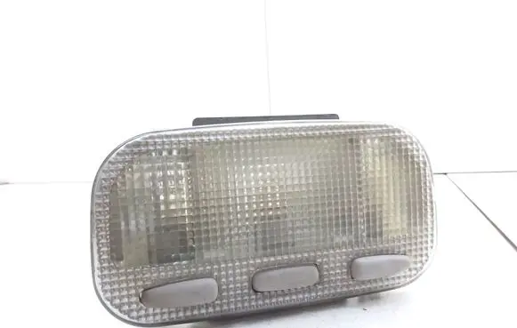 Citroen C5 Front seat light