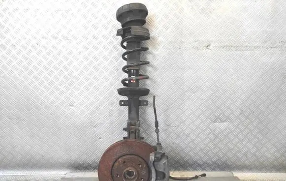 Renault Trafic III (X82) Front wheel hub spindle knuckle 543029028R