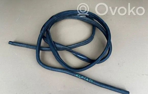 Volkswagen Transporter - Caravelle T5 Rubber seal tailgate window/glass uszczelkaklapyt5