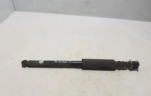 Dacia Spring Rear shock absorber/damper 562103041R