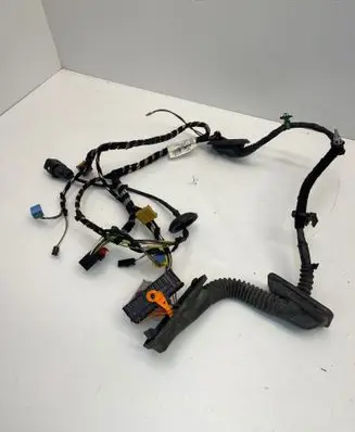 Front door wiring loom