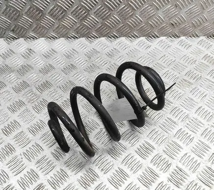 Nissan Leaf II (ZE1) Rear coil spring 550205SJ1B