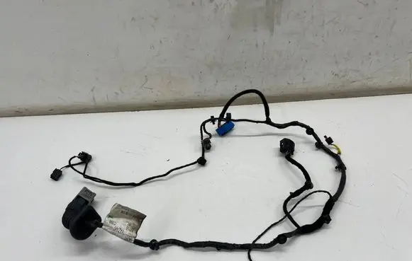 Maserati Ghibli Front door wiring loom 06700086030