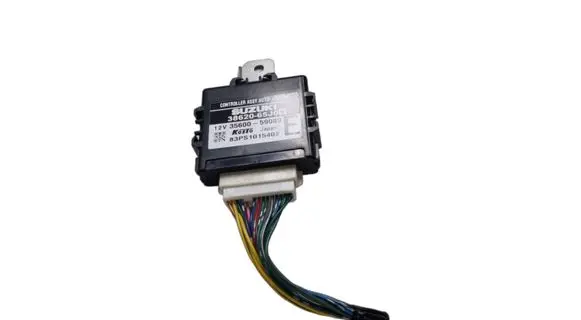 Suzuki Grand Vitara II Other control units/modules 3862065J01 3560059089