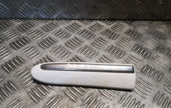 Mercedes-Benz S W220 Fender grill 2206900162 A2206900162