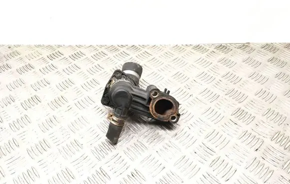 Thermostat/thermostat housing