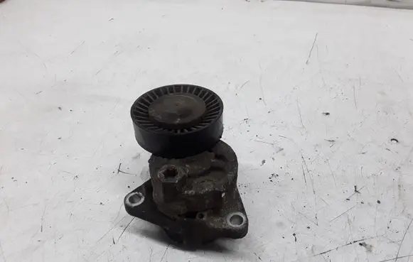 KIA Carnival Generator/alternator belt tensioner