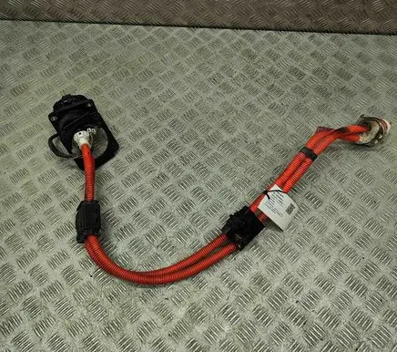 Nissan Leaf II (ZE1) Other wiring loom 296B15SN1A