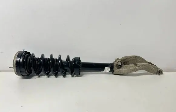 Jaguar F-Pace Front shock absorber with coil spring 8B037FB