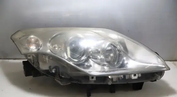 Renault Laguna III Headlight/headlamp 89901833