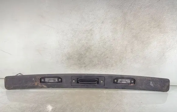 Trunk door license plate light bar