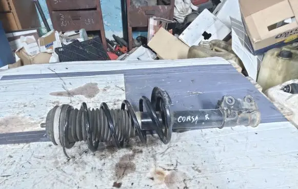 Opel Corsa D Front shock absorber with coil spring 313566 131500313566 824902003949