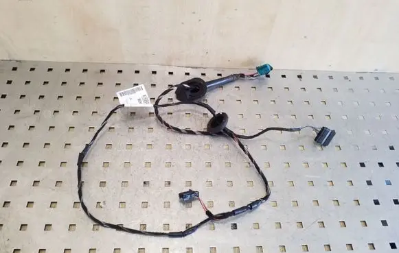 Mercedes-Benz A W169 Other wiring loom A1695403905