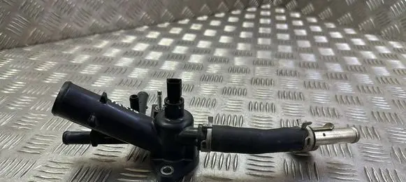 Thermostat/thermostat housing