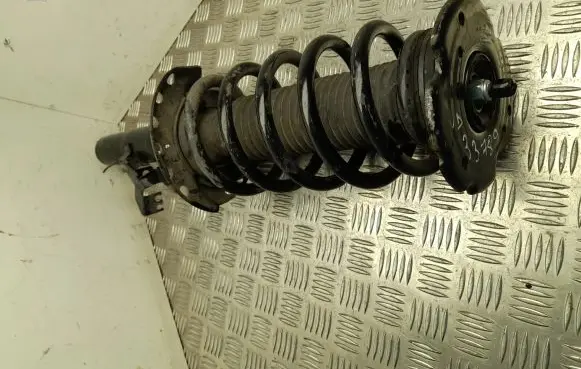 Land Rover Discovery Sport Front shock absorber with coil spring FK7218045AC