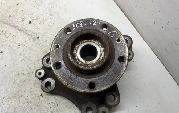 Peugeot 508 RXH Rear wheel hub 9670245680