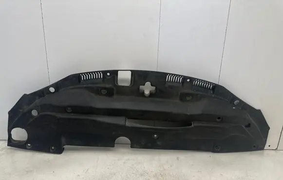 Lexus IS 220D-250-350 Radiator trim 5329553010