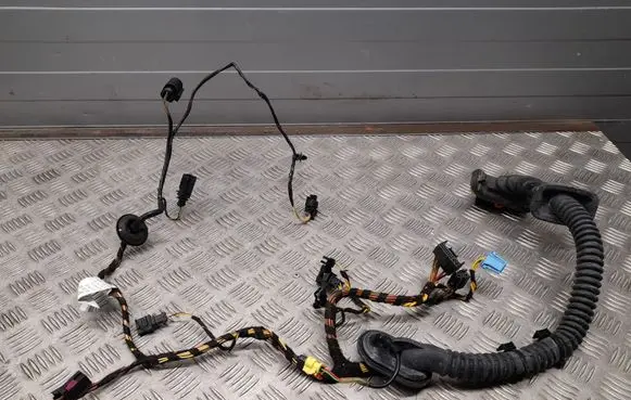 Porsche Cayenne (92A) Front door wiring loom 7P5971162AN