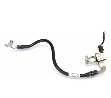 BMW 1 F70 Negative earth cable (battery) 5B3E981